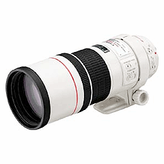 Canon EF 300mm f/4.0L IS USM