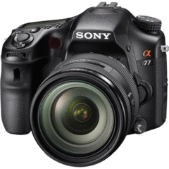 Sony Alpha SLT-A77 with 16-50 F2.8 Kit