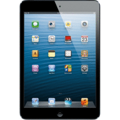 Apple iPad mini with Wi-Fi 16GB (Black & Slate)