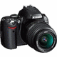 D40