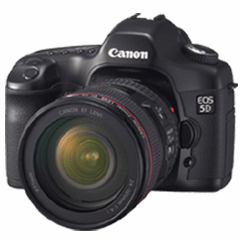 Canon EOS 5D with EF 24-105 f/4L Kit