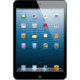 iPad mini with Wi-Fi 32GB (Black & Slate)