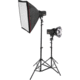 Two Monolight Kit without Bag (120VAC)