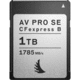 1TB AV PRO CFexpress 2.0 Type B SE