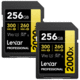 256GB Professional 2000x UHS-II SDXC Memory Card (2-Pack)